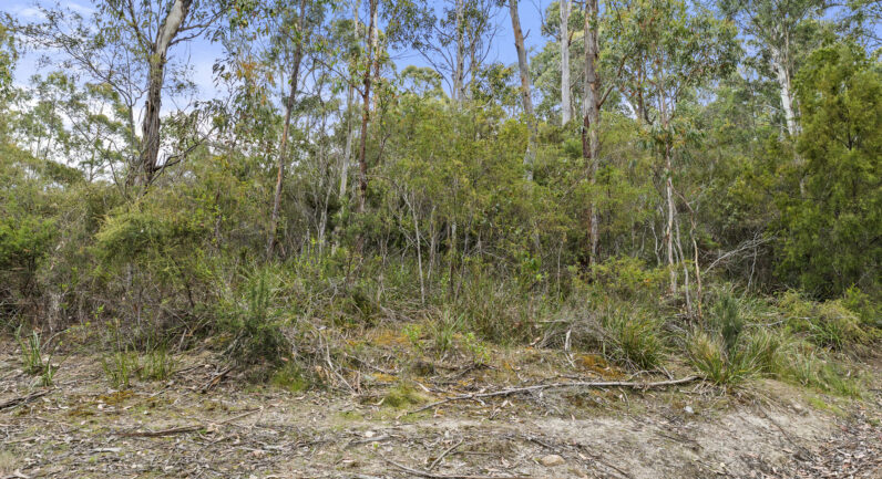 5286 Channel Highway, Gordon TAS 7150