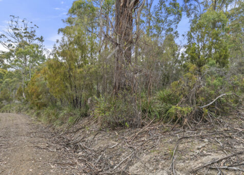 5286 Channel Highway