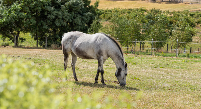 58 Bells Road, Lucaston TAS 7109