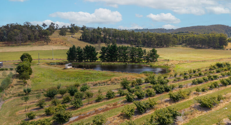 58 Bells Road, Lucaston TAS 7109