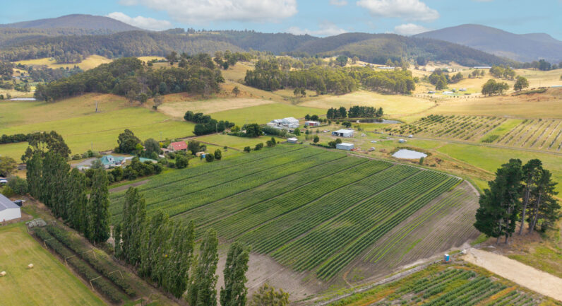 58 Bells Road, Lucaston TAS 7109