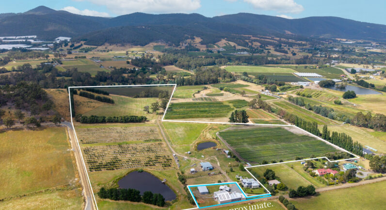 58 Bells Road, Lucaston TAS 7109