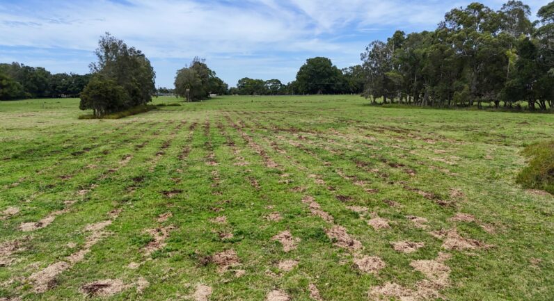 83 Belmore River Right Bank Road, Belmore River NSW 2440