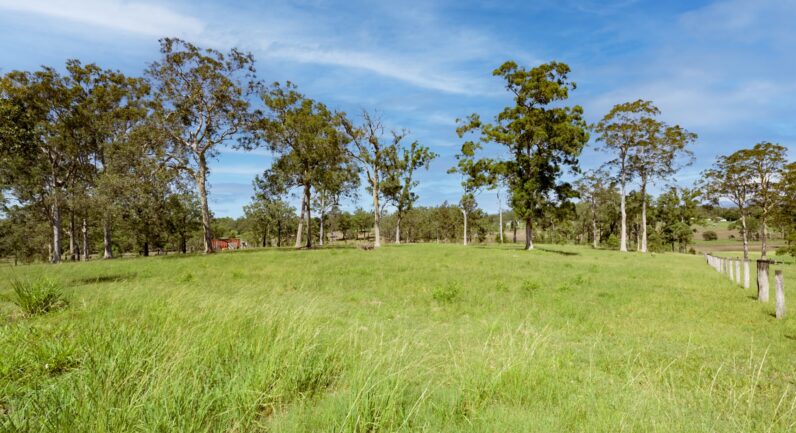 14 Wattle Place, Yarravel NSW 2440