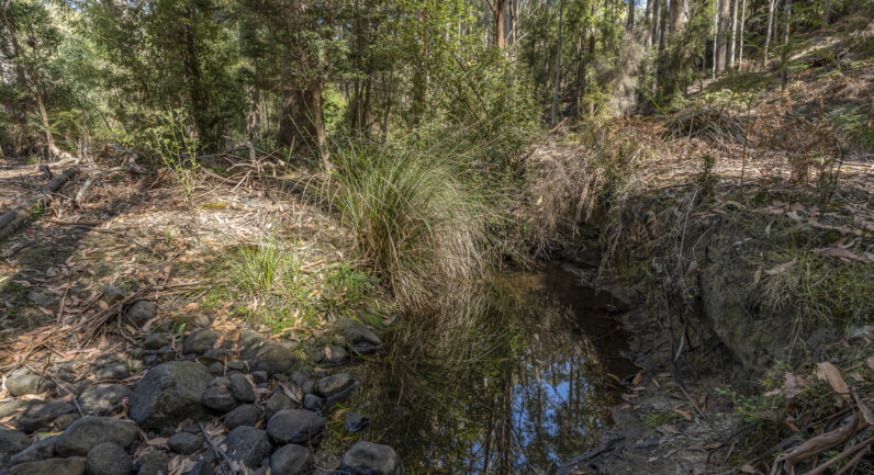 Millers Road, Middleton TAS 7163