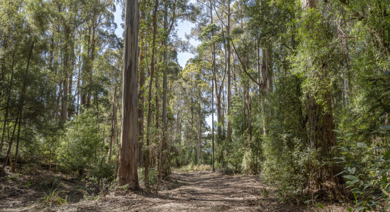 Millers Road, Middleton TAS 7163