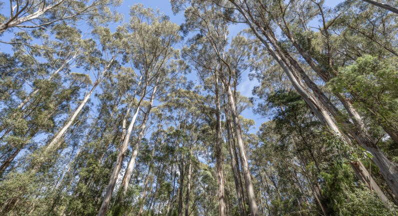 Millers Road, Middleton TAS 7163