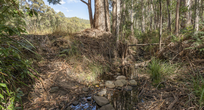 Millers Road, Middleton TAS 7163