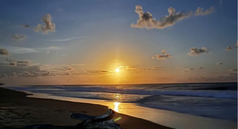 60 Lyon Street, Repton NSW 2454