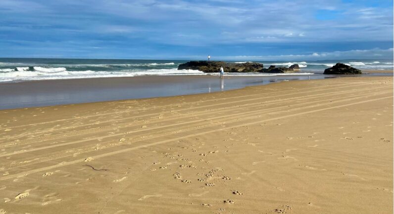 60 Lyon Street, Repton NSW 2454