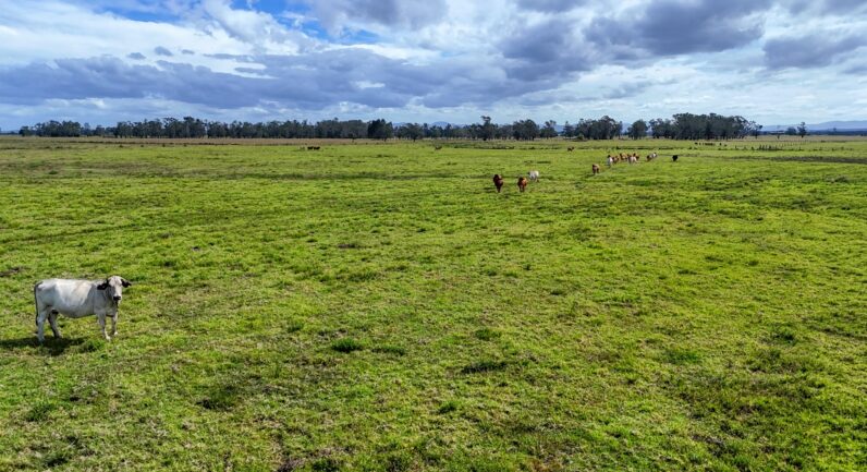 Two Hills Lane, Clybucca NSW 2440