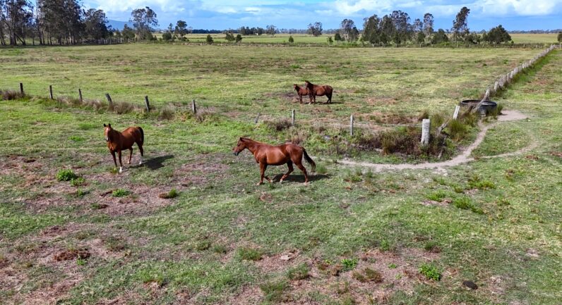 Two Hills Lane, Clybucca NSW 2440