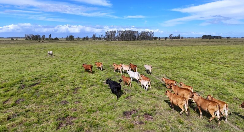 Two Hills Lane, Clybucca NSW 2440