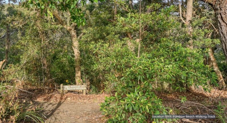 3 Driftwood Court, Bonny Hills NSW 2445