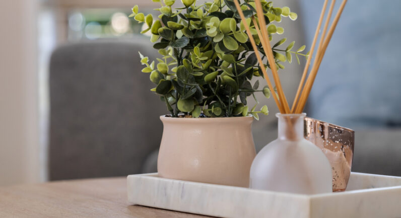 21 Lackey Place, Currans Hill NSW 2567