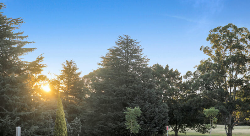 49 Arena Street, Spring Farm NSW 2570