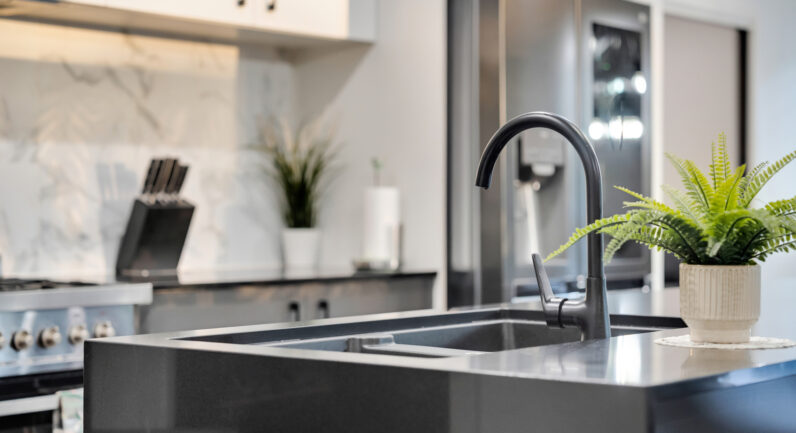 49 Arena Street, Spring Farm NSW 2570