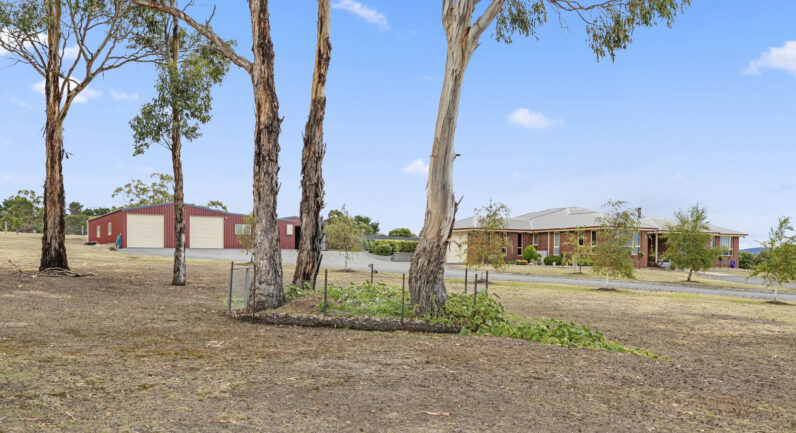 23 Starlight Drive, Cambridge TAS 7170