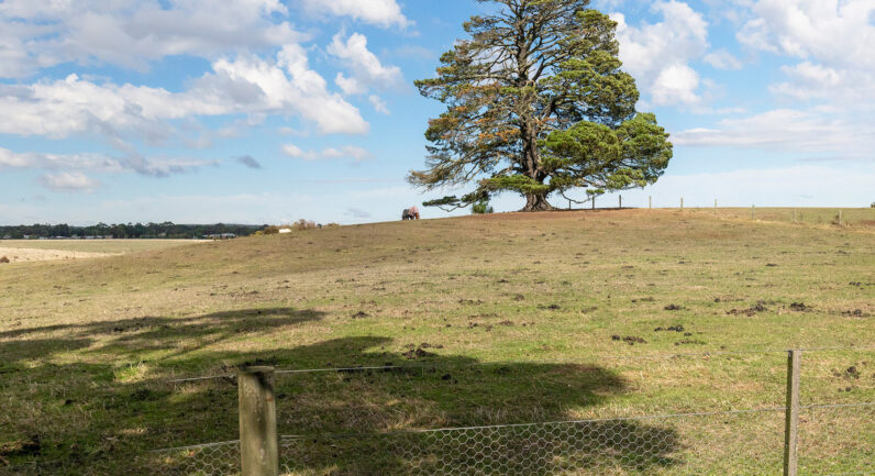 53 Sobeys Road, Napoleons VIC 3352