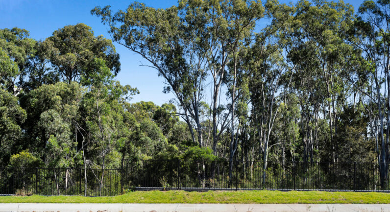 44 Cornelius Street, Appin NSW 2560