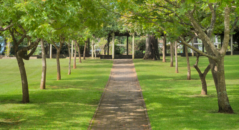 3 Park Street, Camden NSW 2570