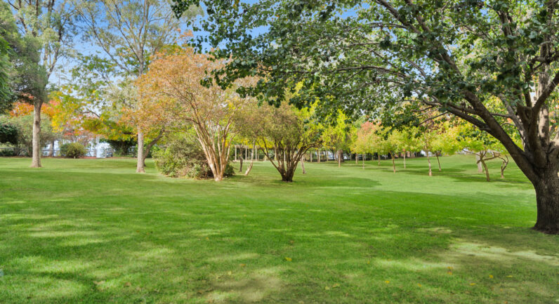 3 Park Street, Camden NSW 2570