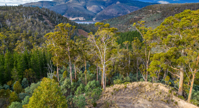 720 Boyer Road, Dromedary TAS 7030