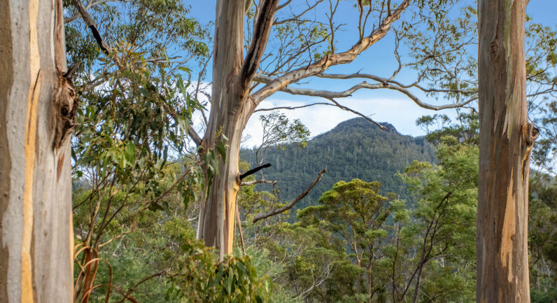 720 Boyer Road, Dromedary TAS 7030