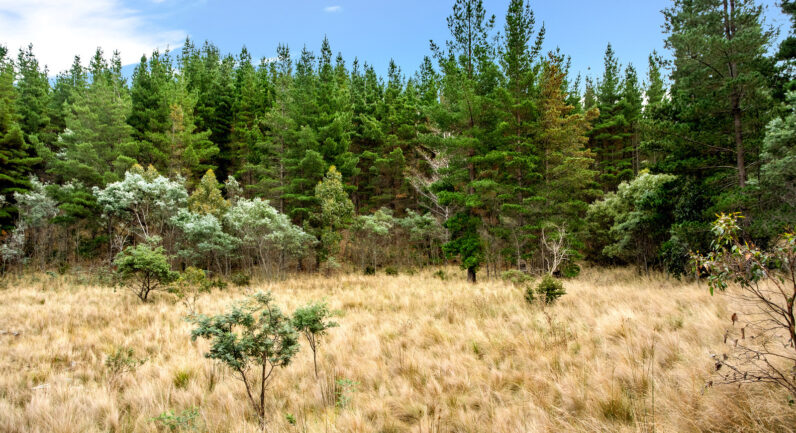 720 Boyer Road, Dromedary TAS 7030