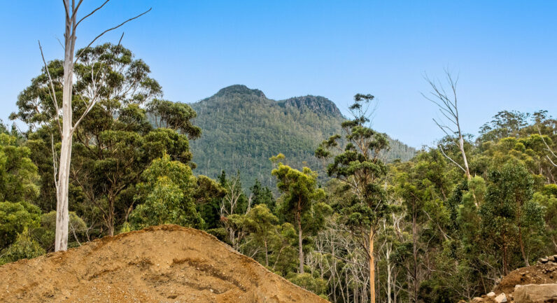 720 Boyer Road, Dromedary TAS 7030