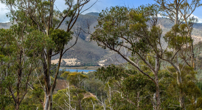 720 Boyer Road, Dromedary TAS 7030