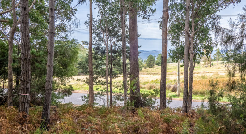 Channel Highway, Flowerpot TAS 7163