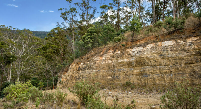 720 Boyer Road, Dromedary TAS 7030