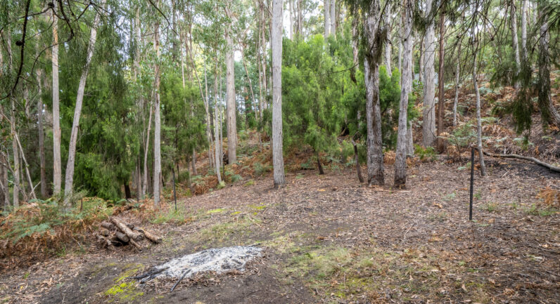 Channel Highway, Flowerpot TAS 7163