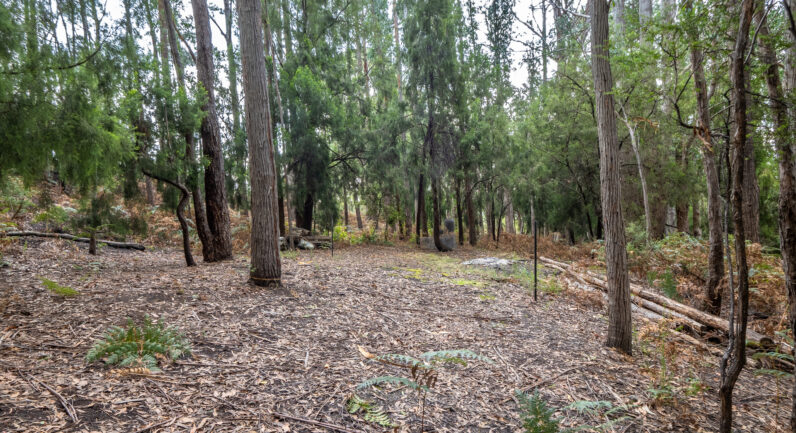 Channel Highway, Flowerpot TAS 7163