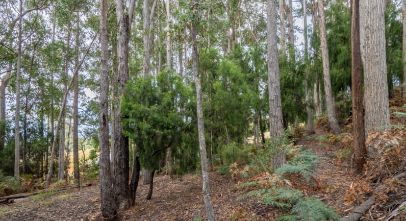 Channel Highway, Flowerpot TAS 7163