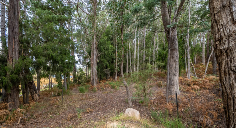 Channel Highway, Flowerpot TAS 7163