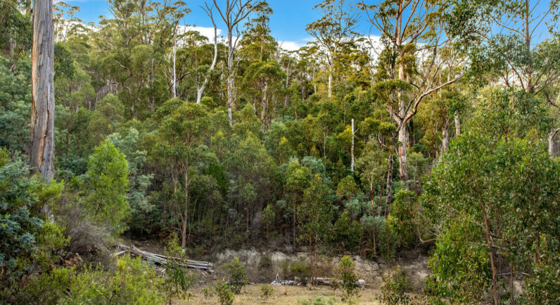 720 Boyer Road, Dromedary TAS 7030