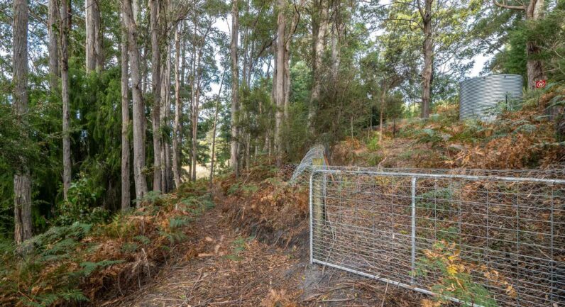 Channel Highway, Flowerpot TAS 7163