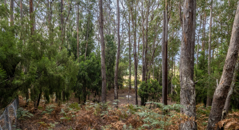 Channel Highway, Flowerpot TAS 7163