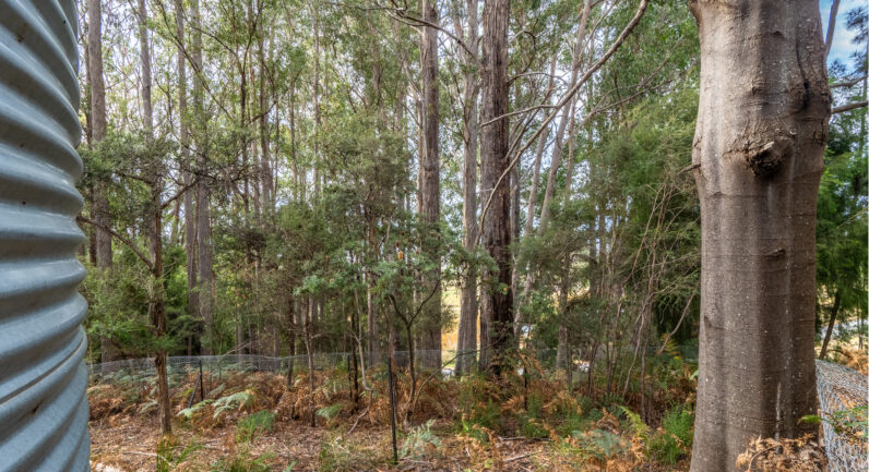 Channel Highway, Flowerpot TAS 7163