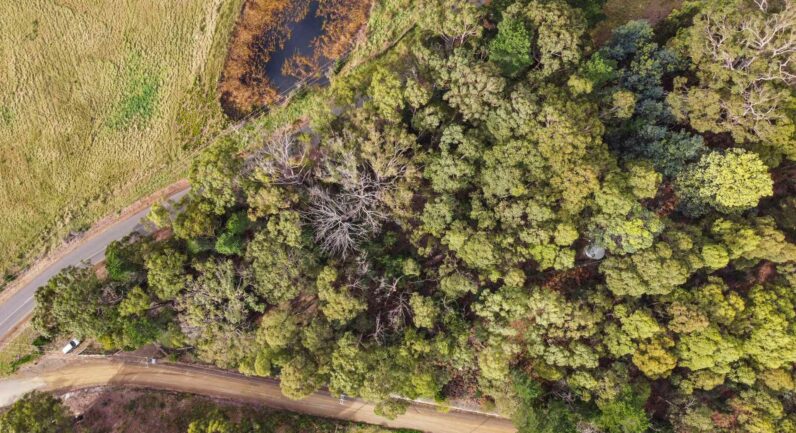 Channel Highway, Flowerpot TAS 7163