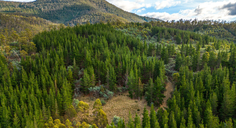 720 Boyer Road, Dromedary TAS 7030