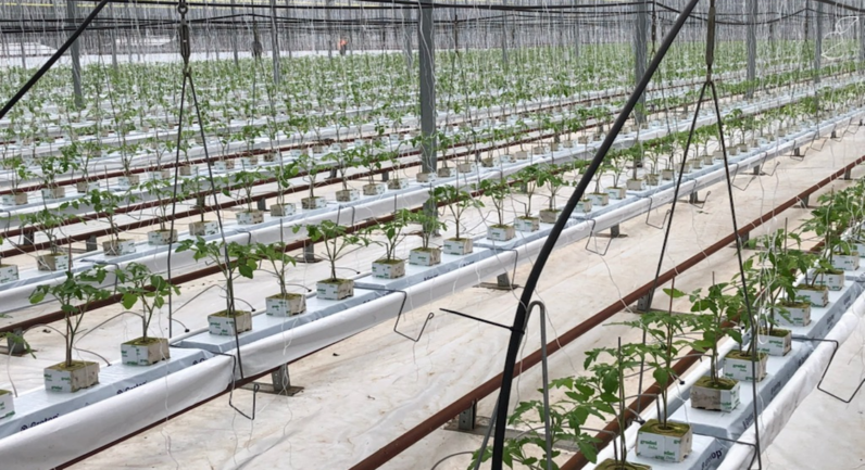 307 Lyell Highway, Granton TAS 7030