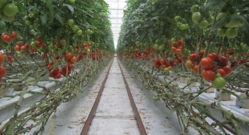 307 Lyell Highway, Granton TAS 7030