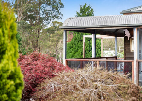 1 Jasmine Street