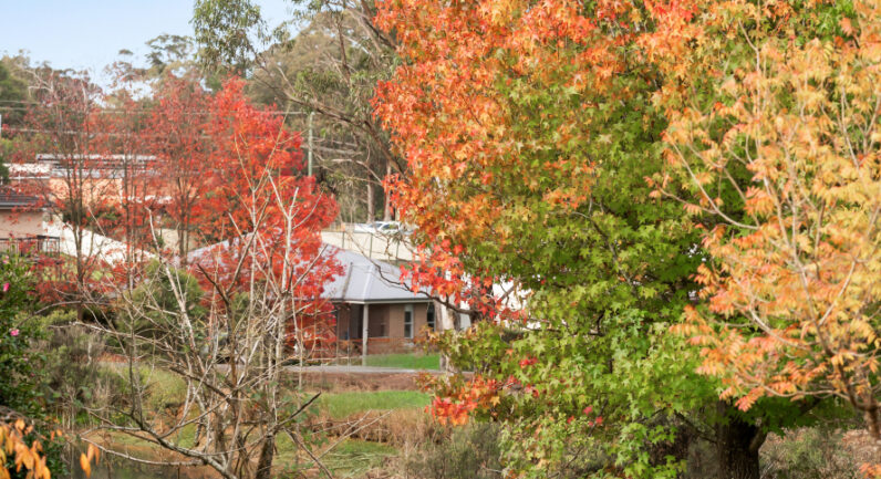 1 Jasmine Street, Colo Vale NSW 2575