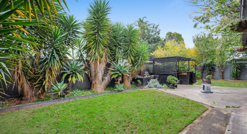 5 Dan Street, Campbelltown NSW 2560