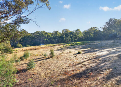 482 Tinderbox Road