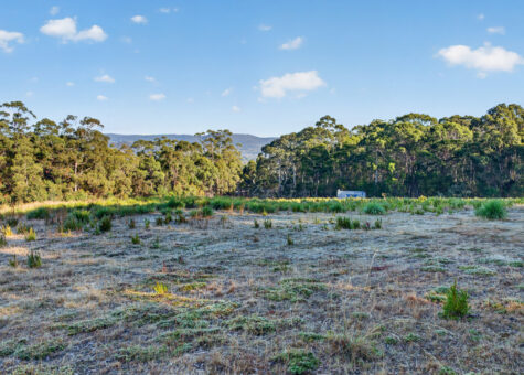 482 Tinderbox Road
